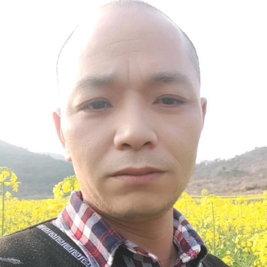 明天会更好