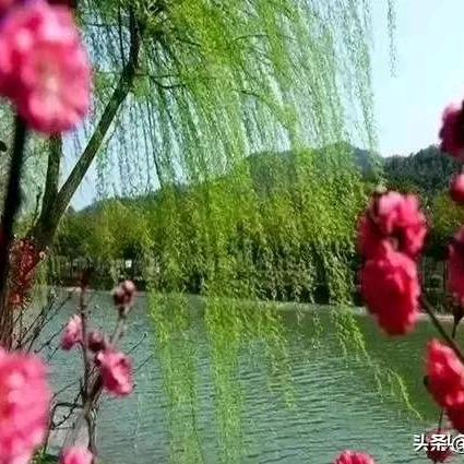 寻找前世之缘