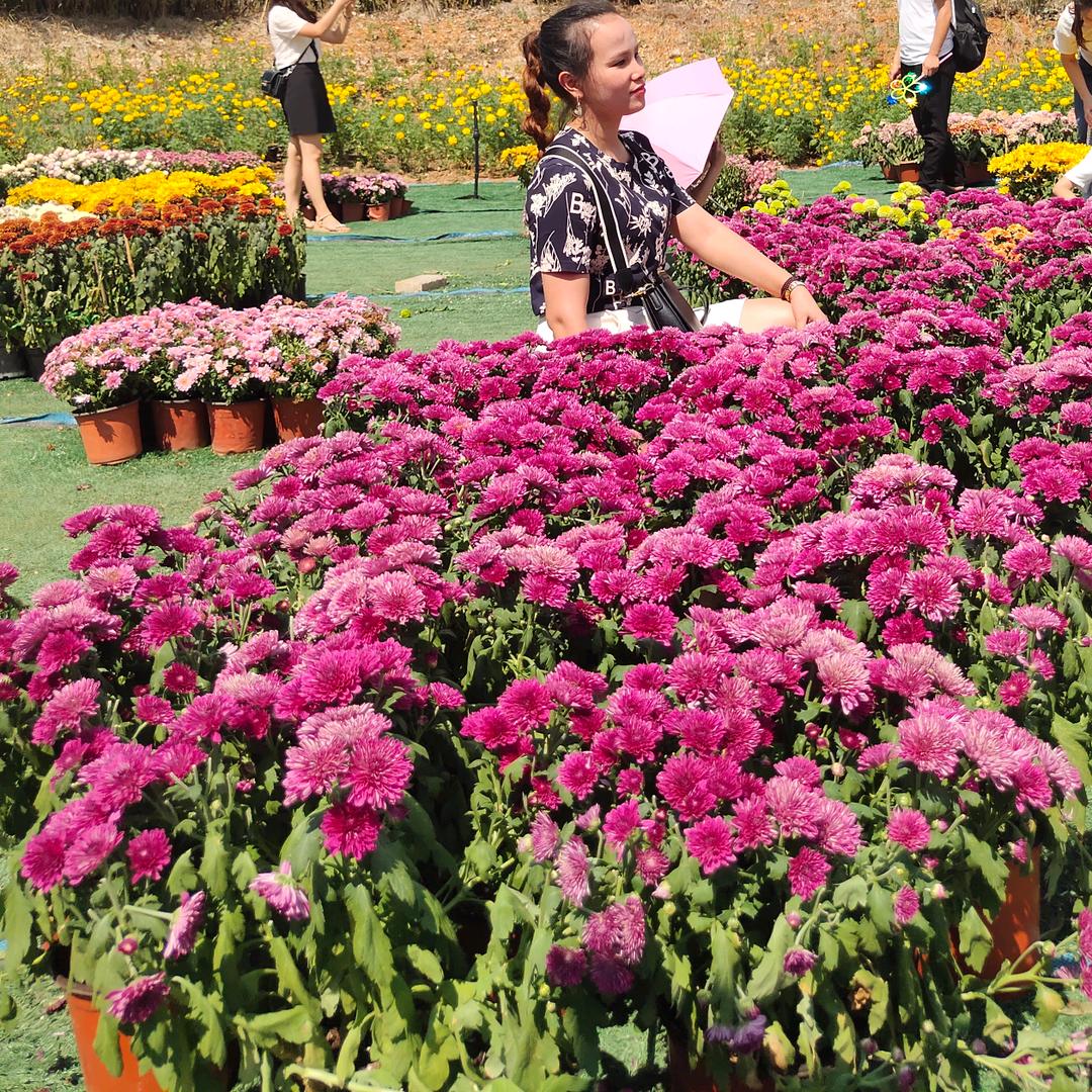 榕江巴拉@冰糖葫卢