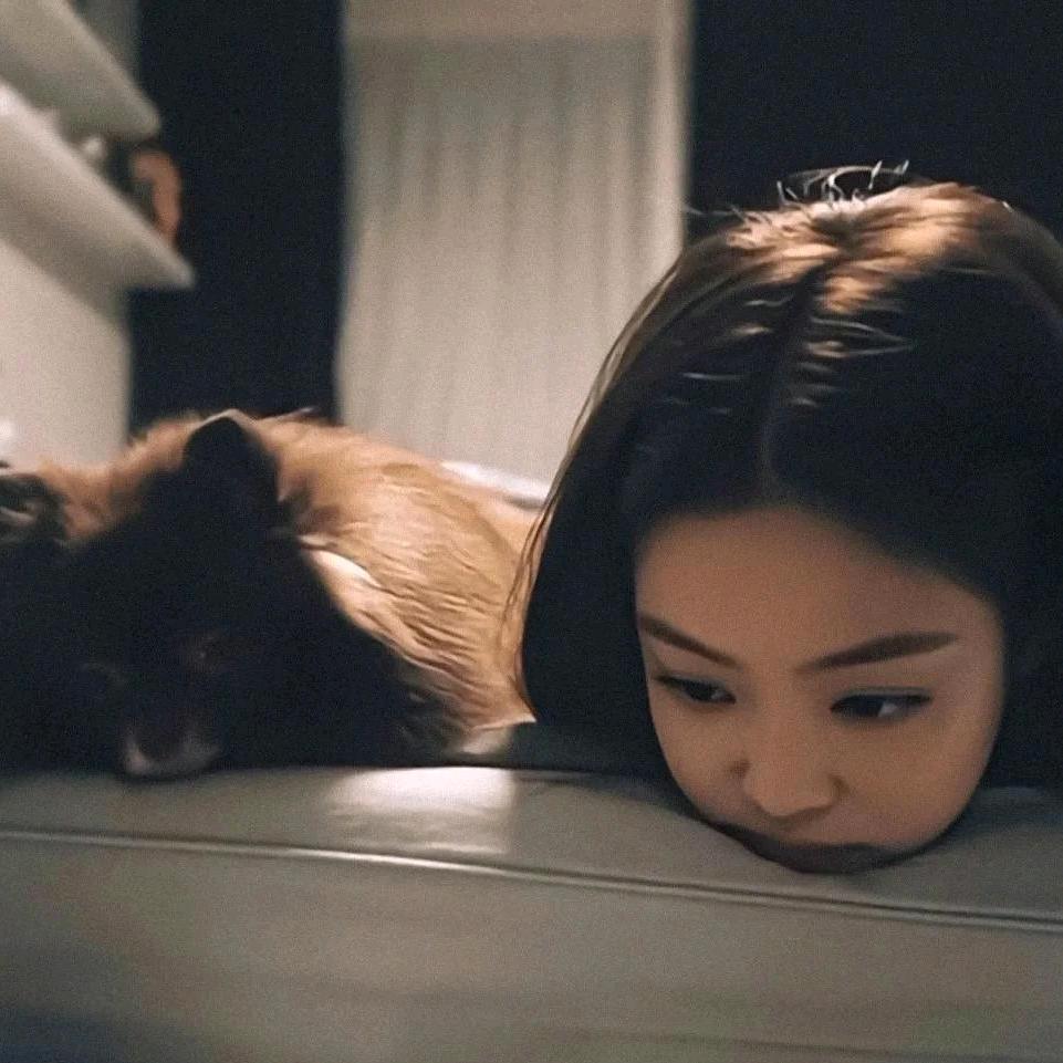 林深时见鹿？🦌