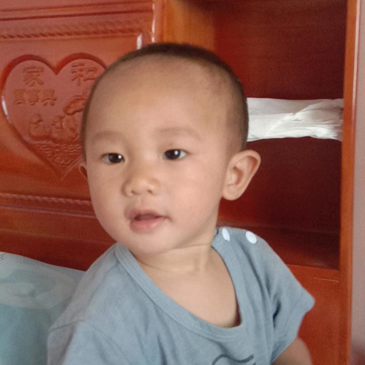 小家伙