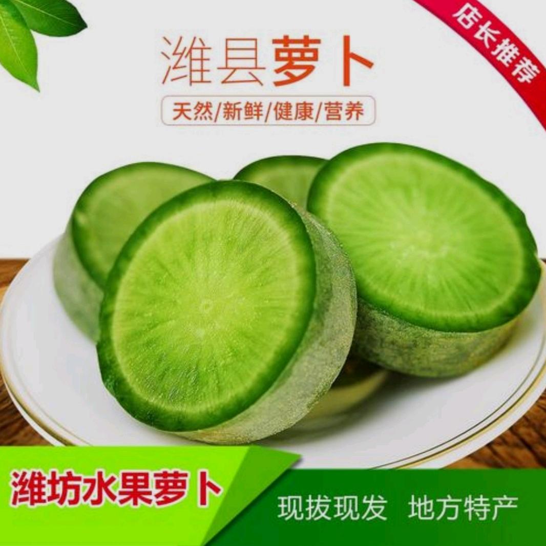 绿农潍坊青萝卜
