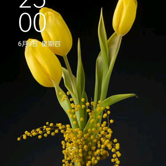 丽朔