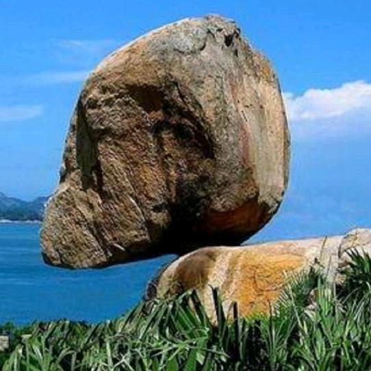 农课苑