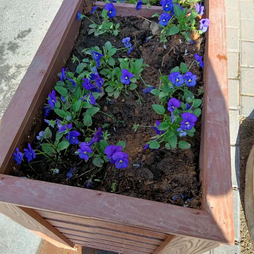 今生只为遇见你的我