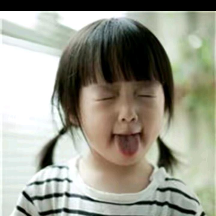 喜子兰州毅德城批发工地辅料盖土网安全网