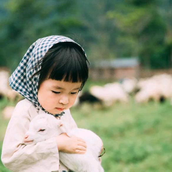 贾全花（有关必回）