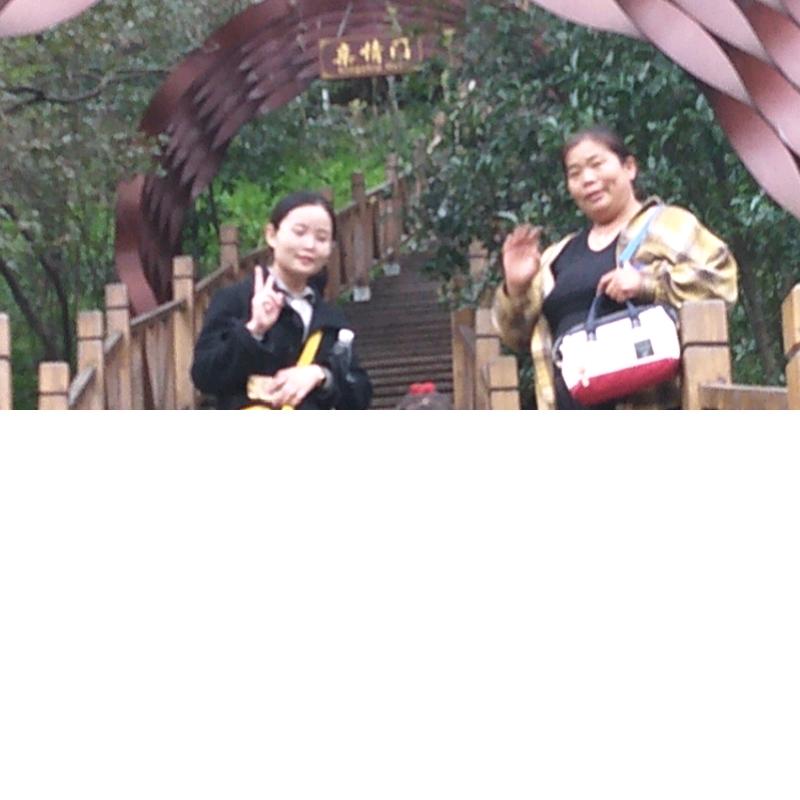 红梅