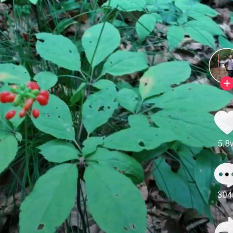 “悟”生万象张宇峣