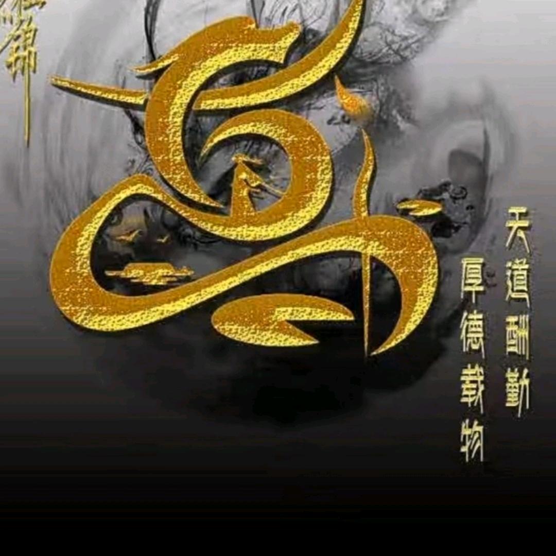 河南八零高家人