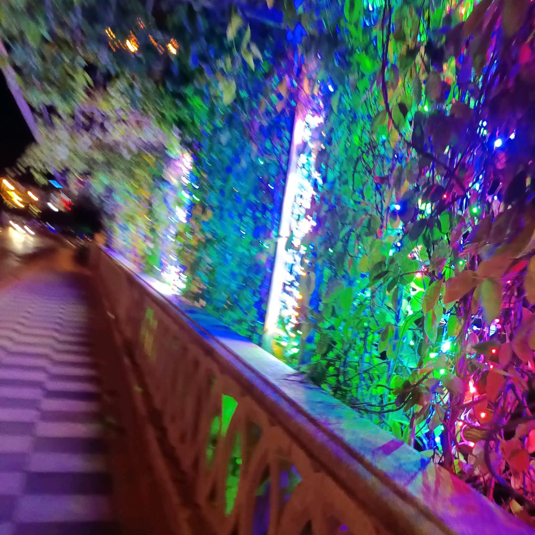 一生