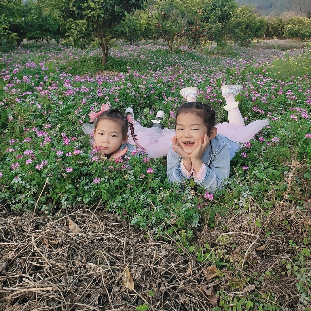 家有姐妹花