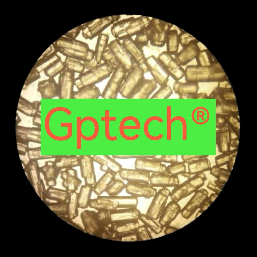 石膏材料科学&工程技术Gypstem®