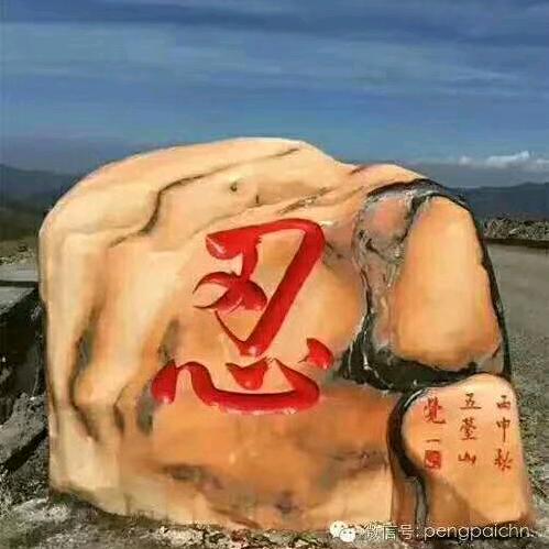 好白菜被🐖拱了