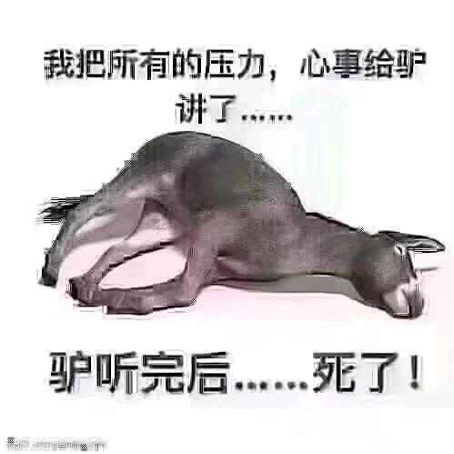 ໑ຼₒ₂₃ღ᭄vIp↗、爷🕊꧔ꦿ᭄💞