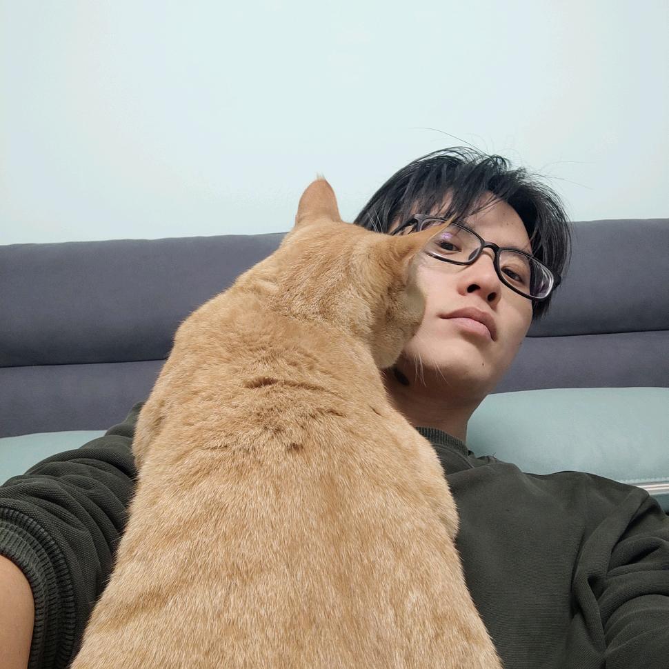画画的弓