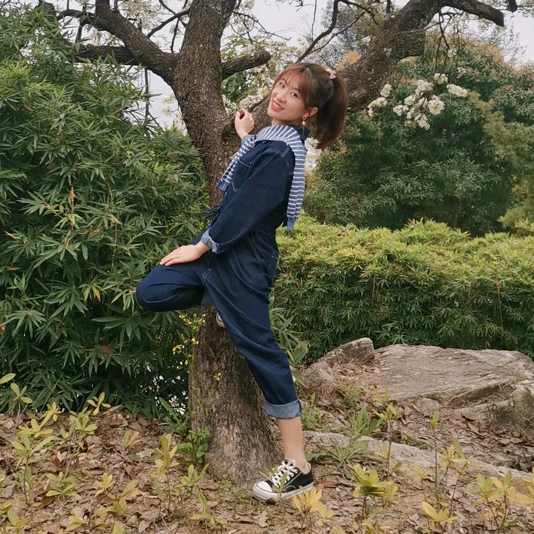 燕子高飞