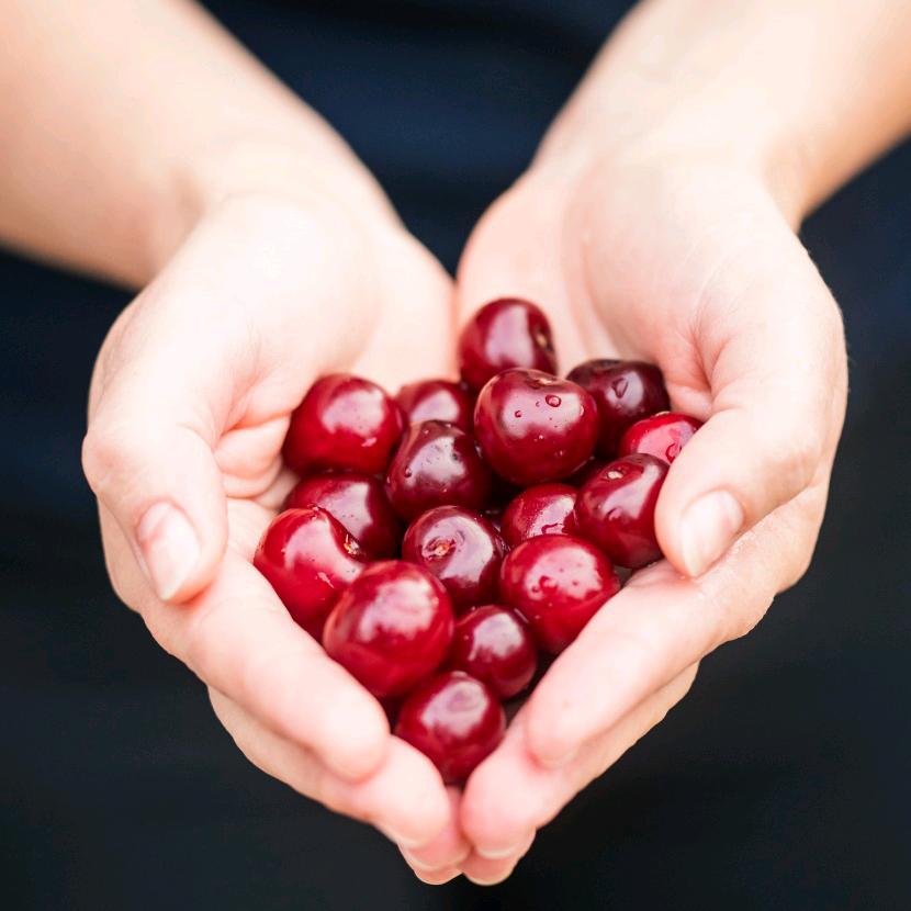 豫见封丘    {廉}