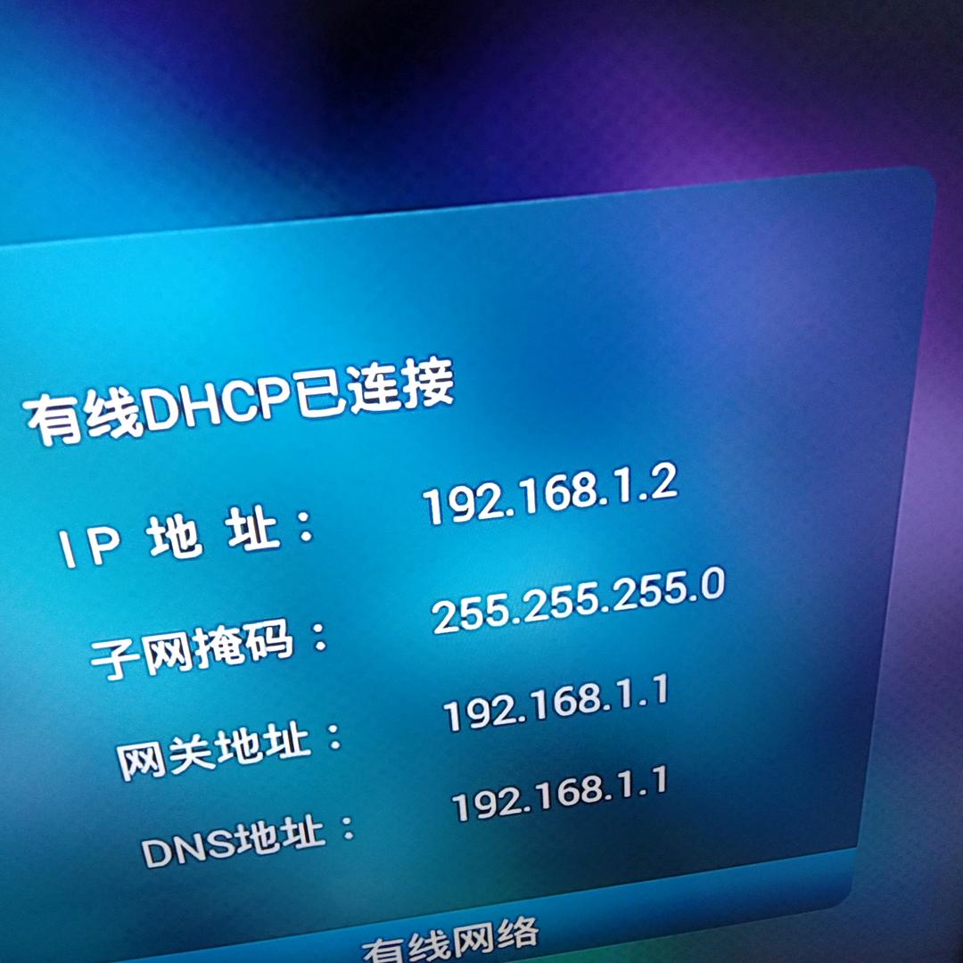 红荷
