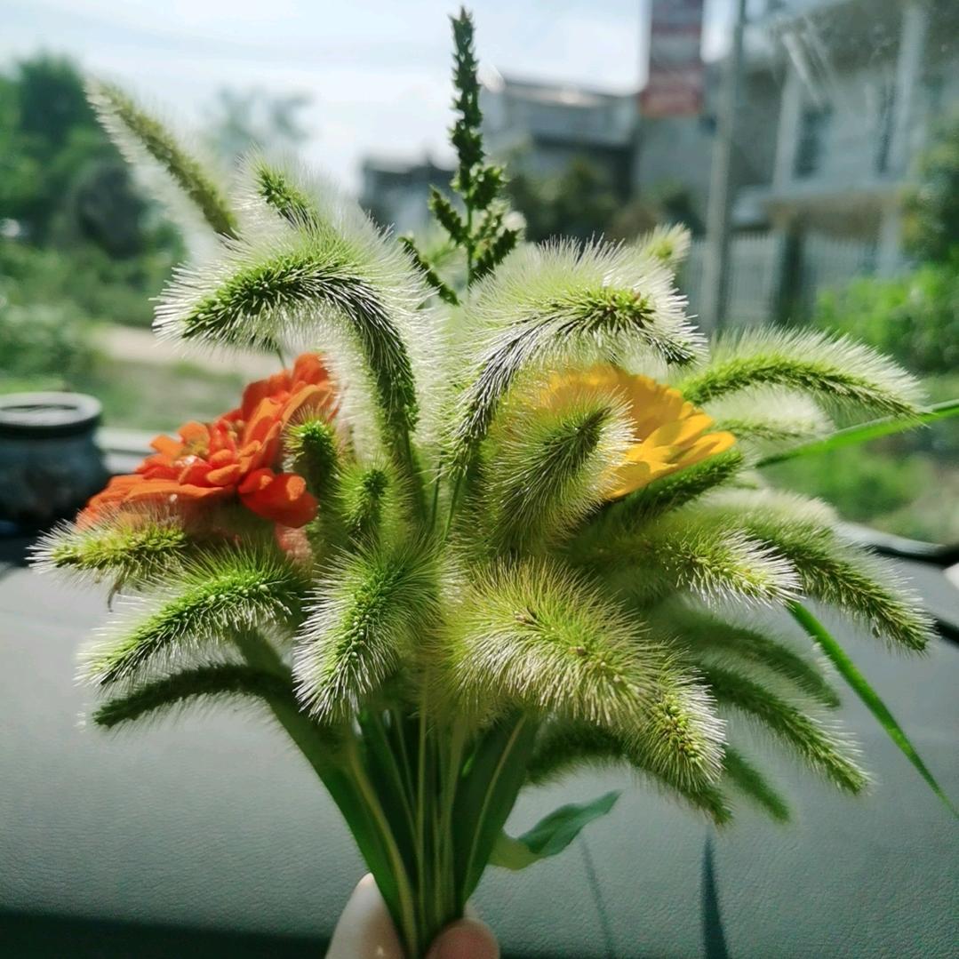 ☔️听风思雨☔️