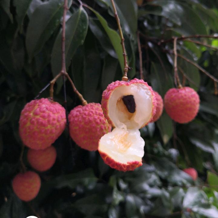 阳光