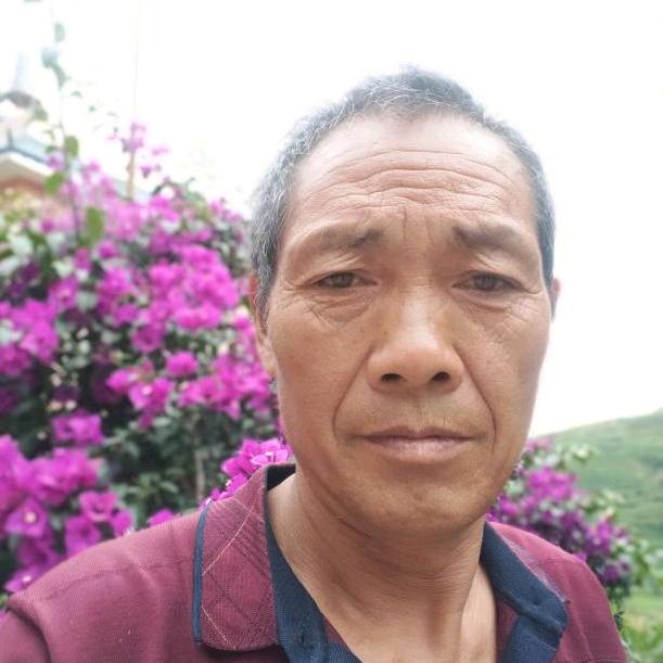 云南山歌（頋）