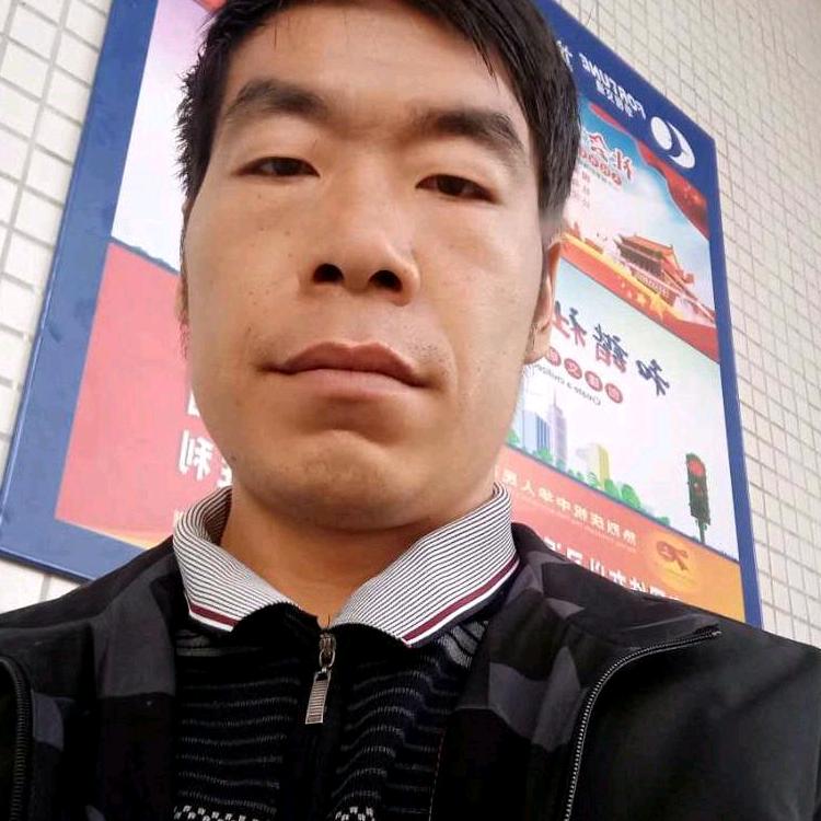 会飞