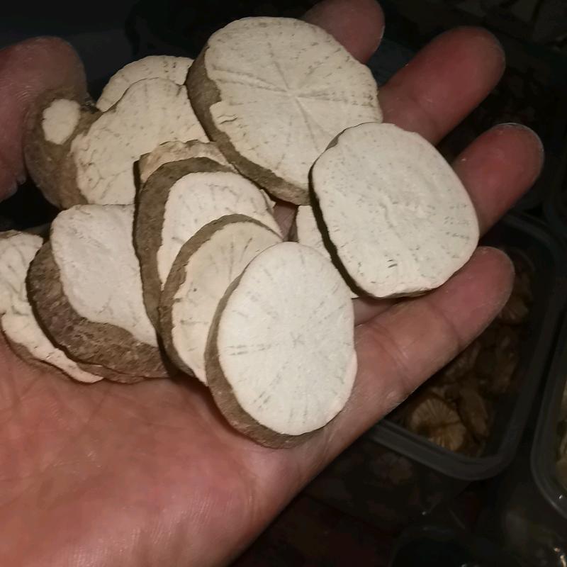 主营 ，防己，金荞麦 ，红藤，