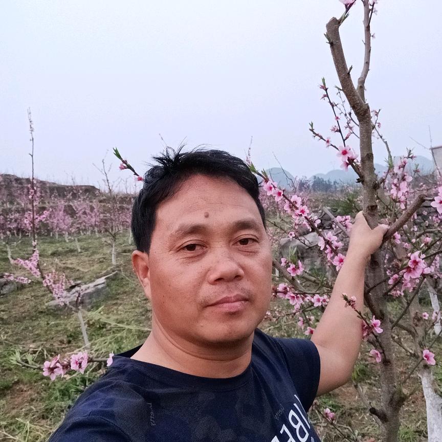普定县鑫艳种植有限公司