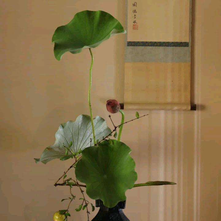 妙行