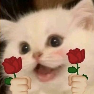 桐花顺