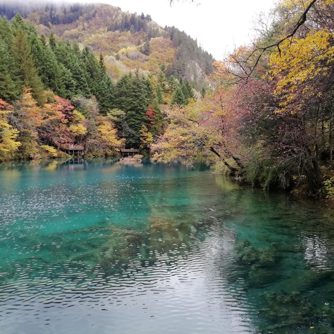 成都～潇潇