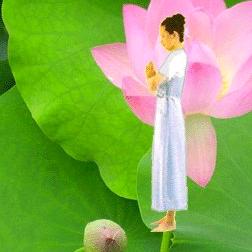 迷婷