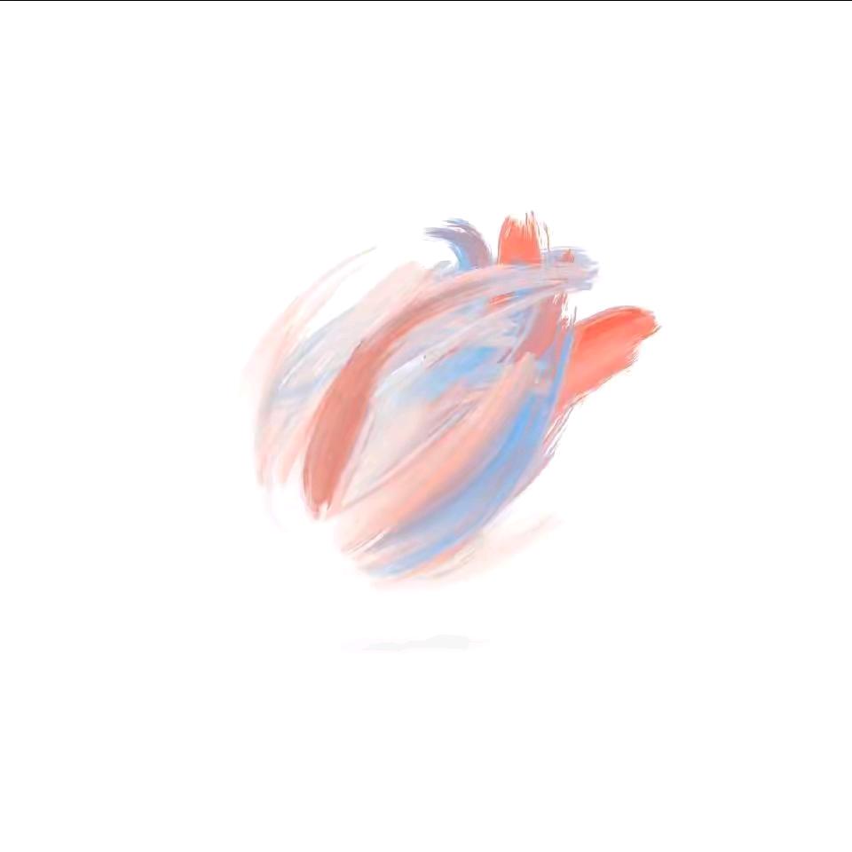 琪航泽