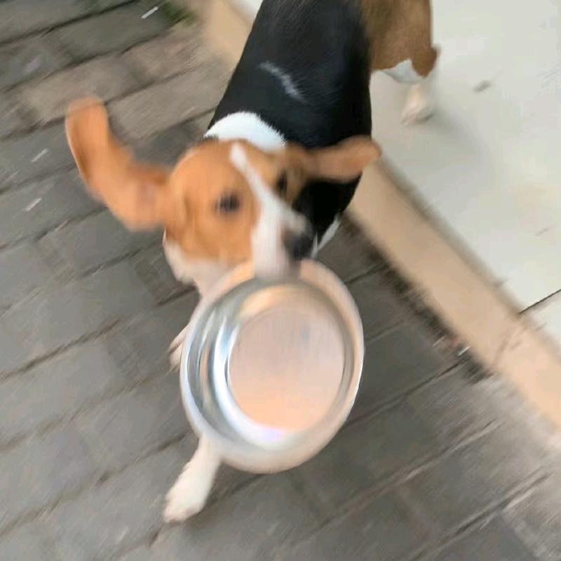 炸鸡块