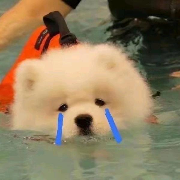 刘小花呀（上岸版）