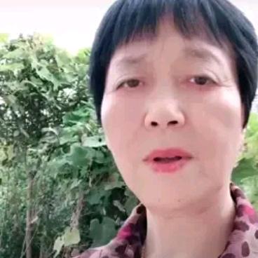 农村华姐
