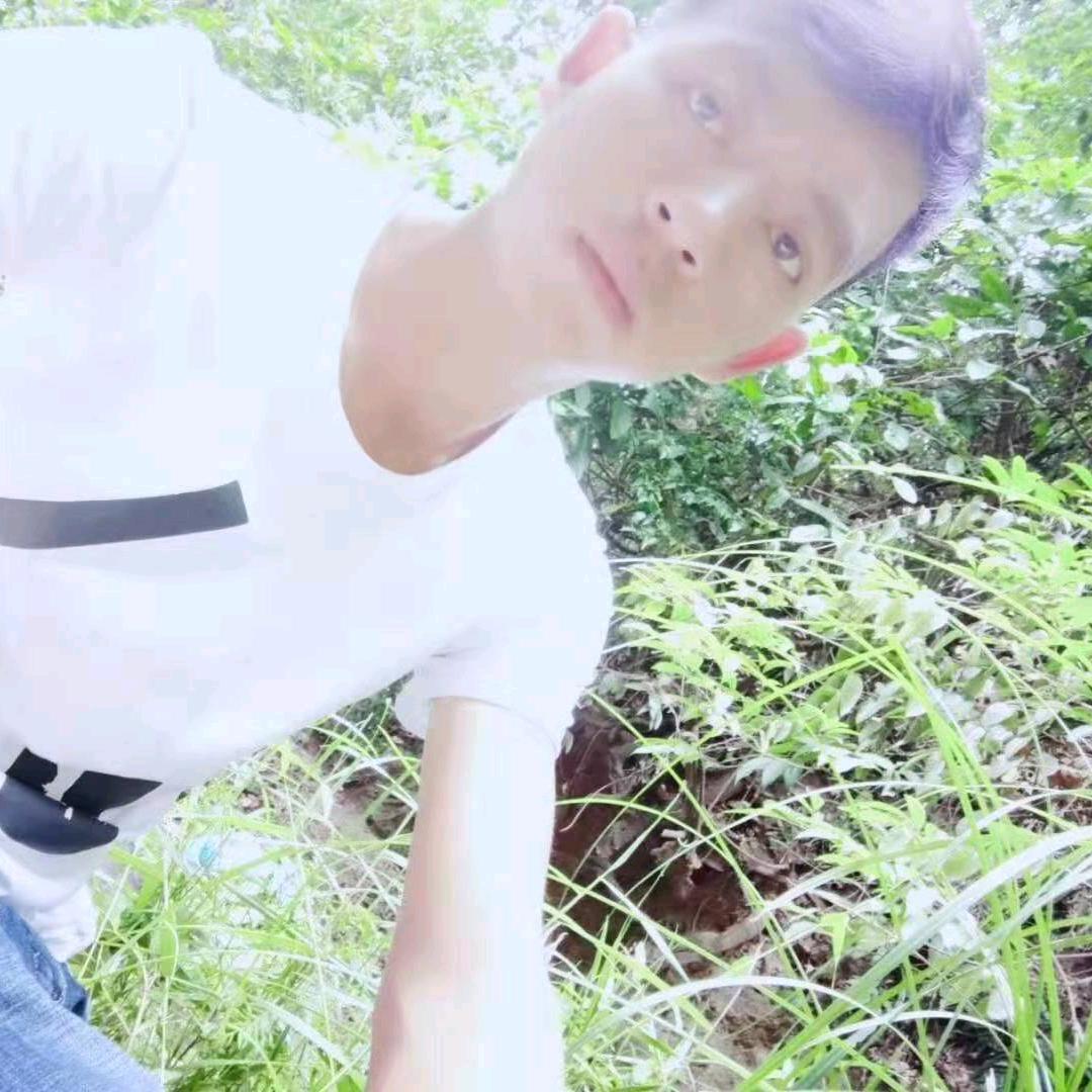 小秦