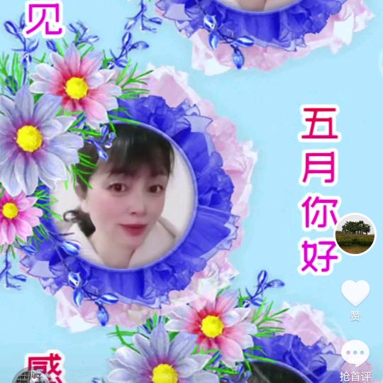 春天的柳树