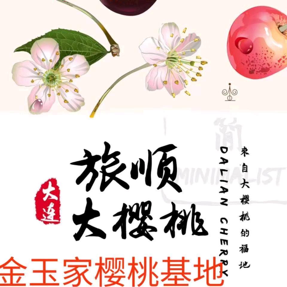 金玉家樱桃基地