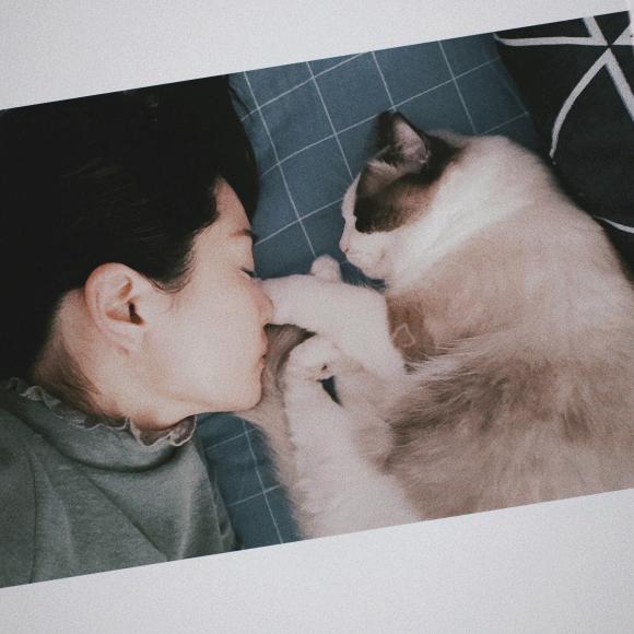 🇾 🇴 🇾 🇴（豆包麻麻）