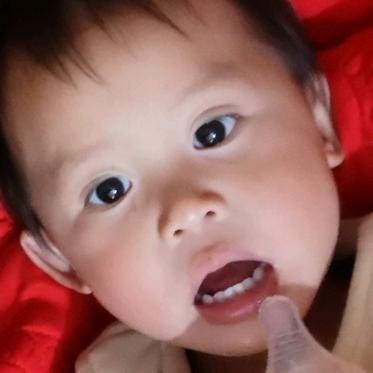 你是美丽的佳妮