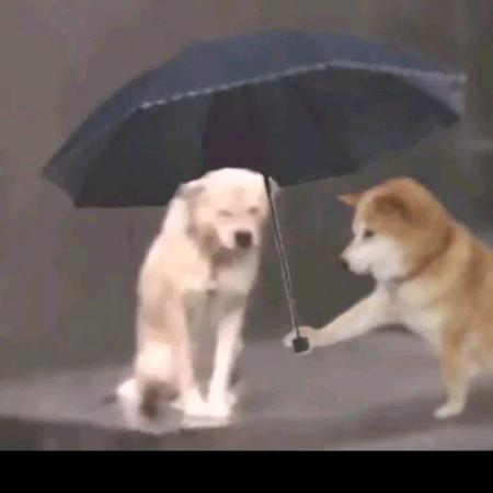 黑丝，白丝不如奥迪RS