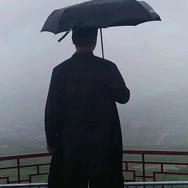 丿王二蛋丶