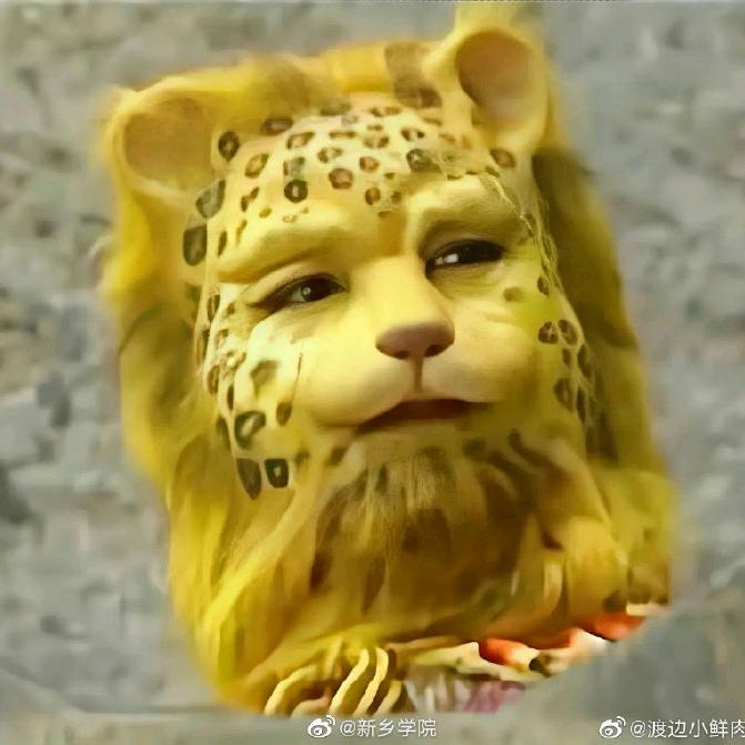 美琪