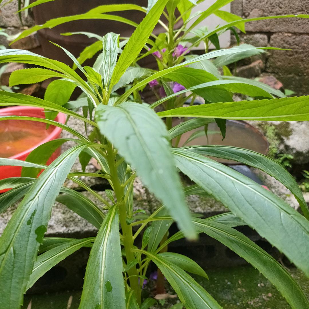 最美时光。