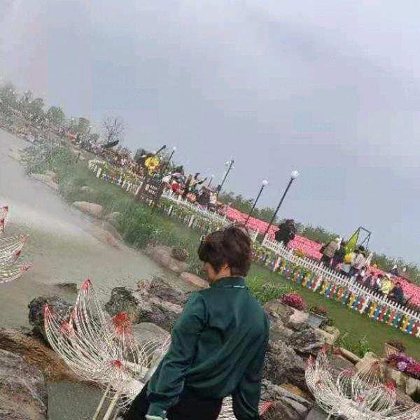 🌈玫瑰（好物在厨窗）