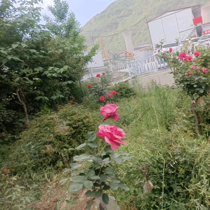 农村的小孩子来了