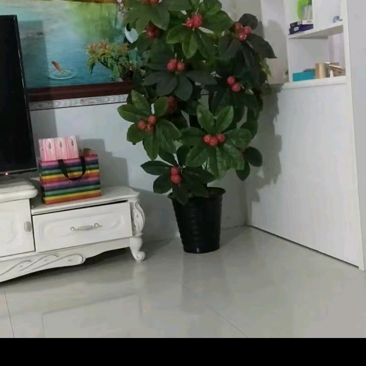 本地人头像