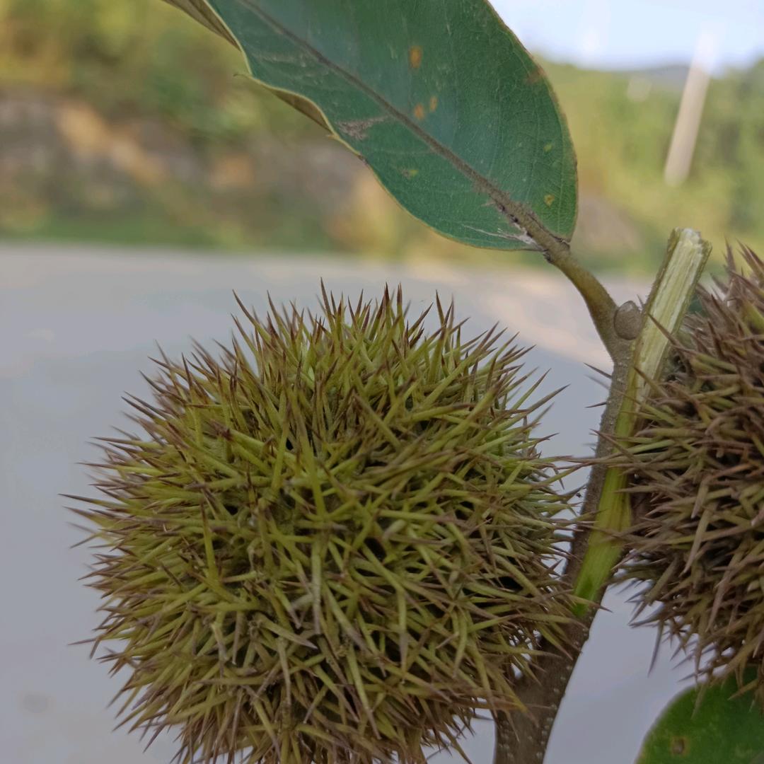 ☞℡      遗   失